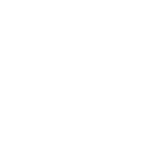 Duschl Media Logo